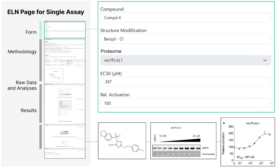 Forms_1.2.png