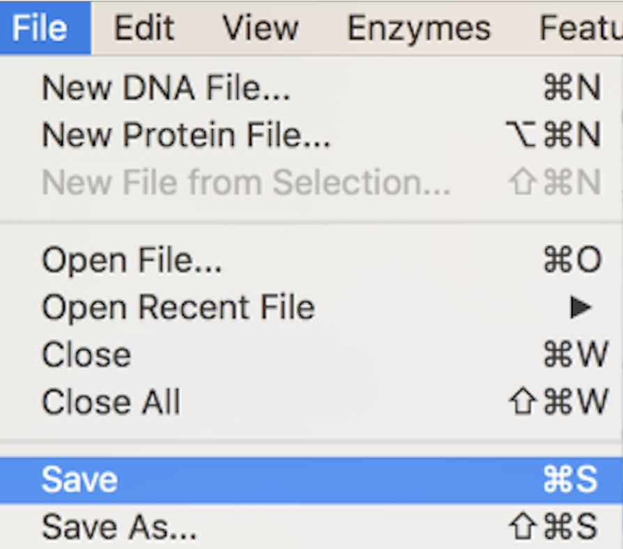 Snapgene_Save.png